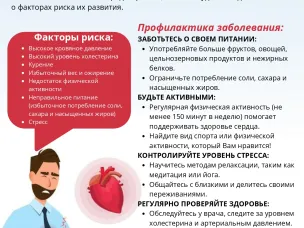 Основа профилактики и лечения сердечно-сосудистых заболеваний – ЗОЖ